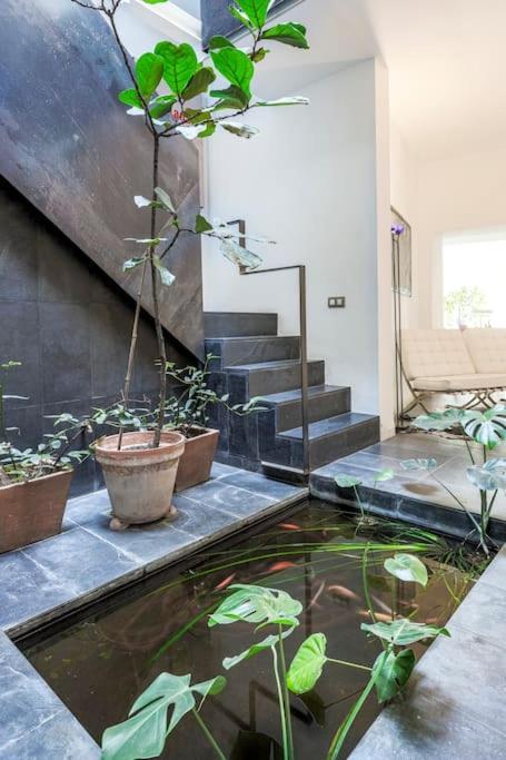 Apartament Exclusivo De Diseno Centro Matahacas Bajo